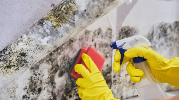 Best Commercial water damage restoration  in Stearns, KY
