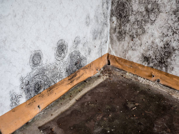 Professional Water damage restoration in Stearns, KY