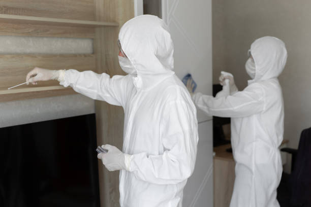 Best Water damage restoration specialists  in Stearns, KY